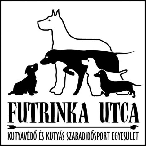 logo.jpg